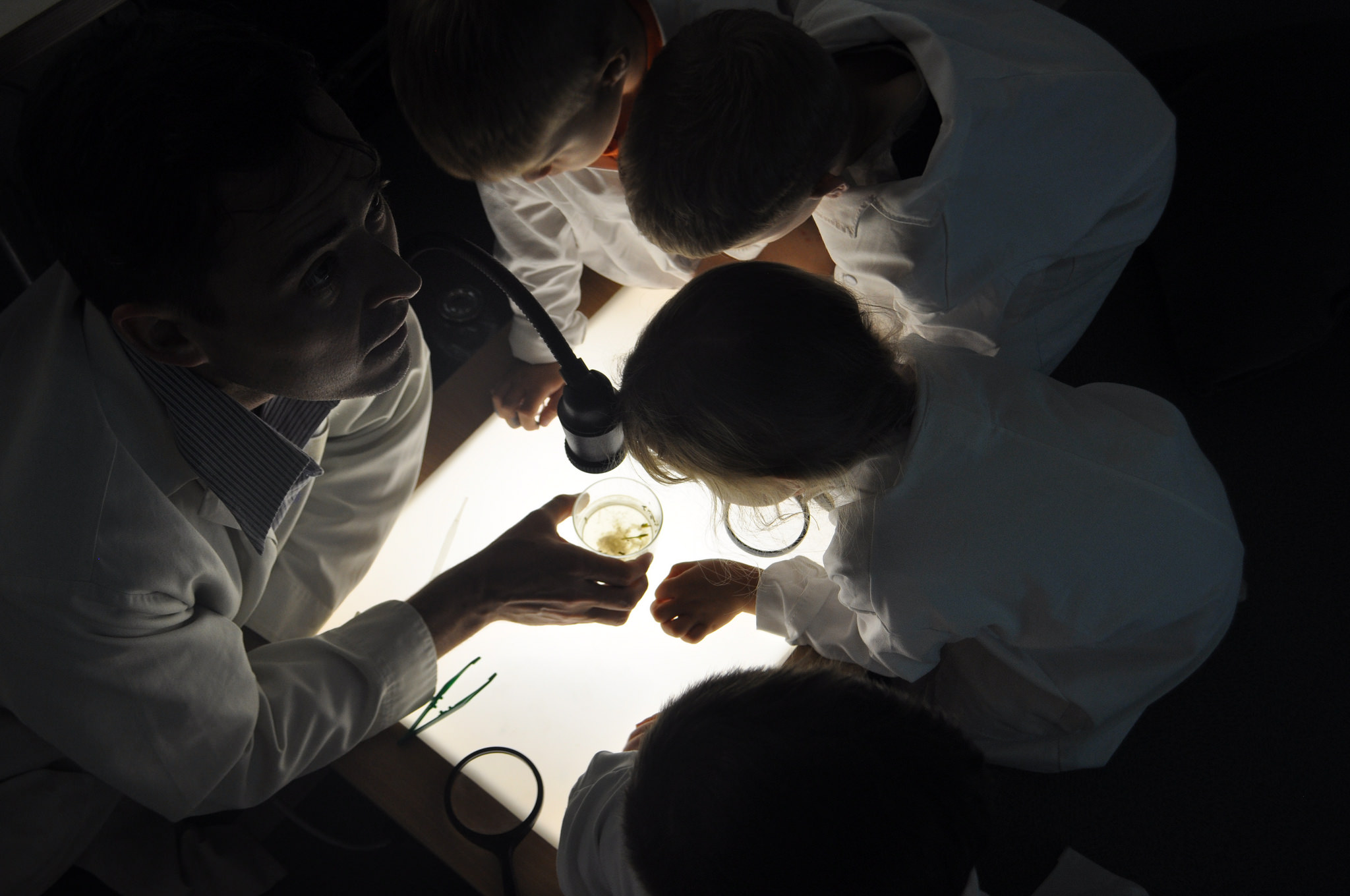 Little Laboratory at the Joey Club. Photo: Scale Free Network